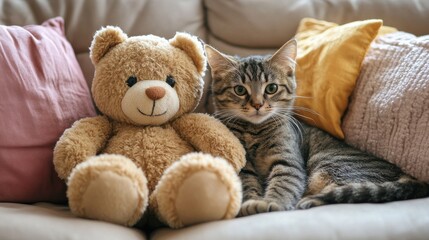 Cute Cat and Teddy Bear on Sofa