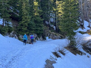 Early spring atmosphere and the last remnants of snow on the mountain road - Northern Velebit...