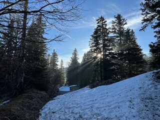 Early spring atmosphere and the last remnants of snow on the mountain road - Northern Velebit...