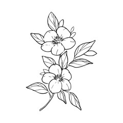 Minimalist Hand Drawn Floral Bouquet Illustration