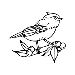 a line art drawing of a bird on branch