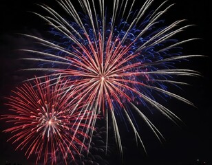 fireworks in the sky