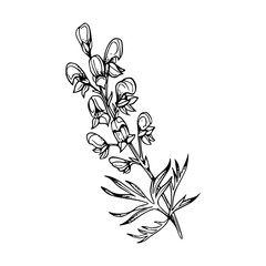 Minimalist Hand Drawn Floral Bouquet Illustration