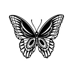 a detailed line art drawing of a butterfly illustration	