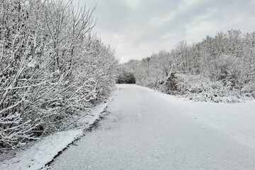 Obraz premium Winter landscape in Maramures, Romania