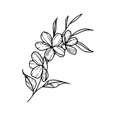 Minimalist Hand Drawn Floral Bouquet Illustration