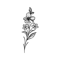 Minimalist Hand Drawn Floral Bouquet Illustration