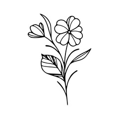 Minimalist Hand Drawn Floral Bouquet Illustration