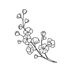 Minimalist Hand Drawn Floral Bouquet Illustration