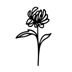Minimalist Hand Drawn Floral Bouquet Illustration