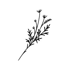 Minimalist Hand Drawn Floral Bouquet Illustration