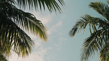 Palm Tree Leaves Against Blue Sky, Tropical Paradise, Palm Tree View. Whispering Palms, Summer Days