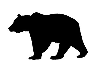 Silhouette of a brown bear. Realistic vector animal
