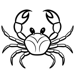 Fiddler Crab on white background