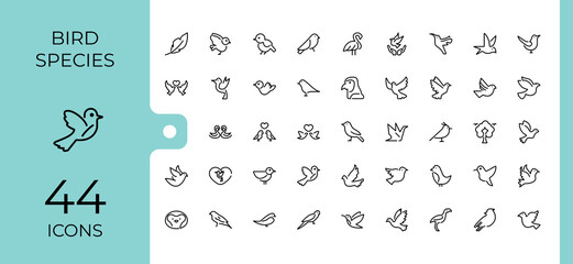 Set of Bird Species line icons. Containing wild, wings, bird, freedom, sketch and more. Collection for mobile and web apps. Vector outline icons collection.