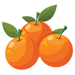 illustration of ripe apricots