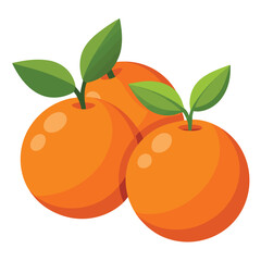 illustration of an orange