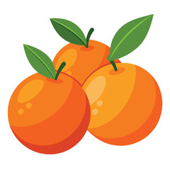 illustration of an orange