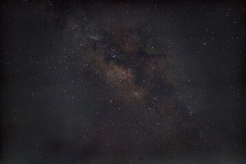 Nature wildlife macro insects bikes, cars, landscape 