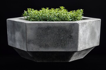 Modern concrete planter with green plant inside. Geometric shape. Durable material. Great for outdoor use. Suitable for home decor, garden design. Stylish, practical container. Good for holding,