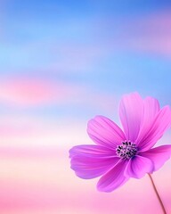 Fototapeta premium Serene Pink Flower Against Pastel Sky Dreamy Blossom Soft Light Nature Background