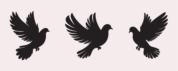 Three black dove silhouettes in different flying poses with fully spread wings on a light gray background