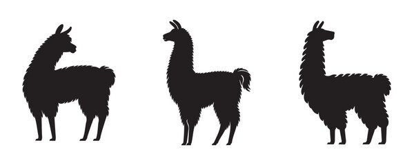 Set of three llama silhouettes in standing poses, showcasing their woolly texture and upright ears on a plain gray background