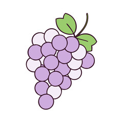 grape cluster vector icon, grape cluster vector illustration - simple illustration of grape cluster, perfect for logos,and grape cluster -themed designs.