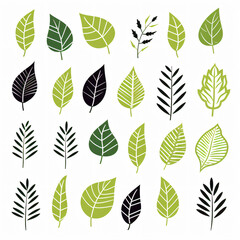 Stylish Leaf Pattern Clip Art on Clean White Background flat airy green crisp   