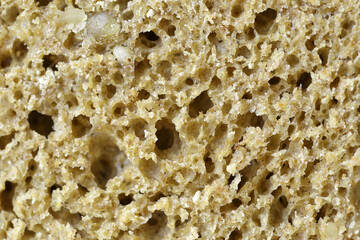 Detail of whole wheat bread crumb. The bread has holes. The texture is spongy.