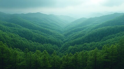 Fototapeta premium Serene Panoramic View of Lush Green Mountain Forest