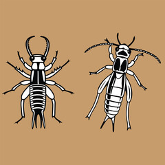 Earwig bundle design art and illustrator eps