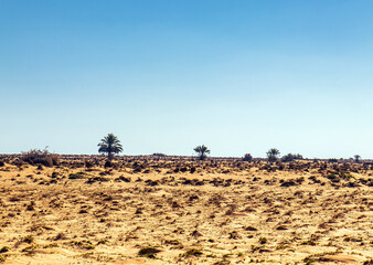 Vast Desolation: Medenine's Desert Landscape in Southern Tunisia