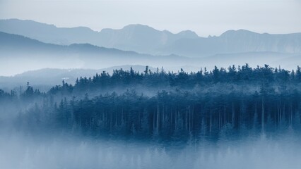 Fototapeta premium Misty mountain landscape, layered blue ridges, foggy forest silhouettes, ethereal atmosphere, tranquil nature scene, hazy horizon, morning mist, evergreen trees, peaceful wilderness, monochromatic col