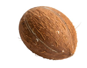 coconut isolated on white