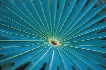 Obraz premium Intricate Blue-Green Palm Leaf with Radiating Veins