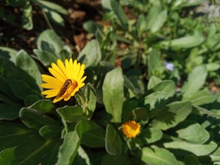 Januar 2025, Istanbul