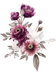 Burgundy and White Anemones Clipart, Arrangement, Blossom Clipart