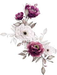 Burgundy and White Anemones Clipart, Arrangement, Blossom Clipart