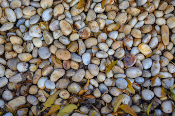 A pile of white rocks with some brown leaves on top