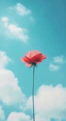 A red rose in full bloom stands tall against the blue sky, with white clouds floating
