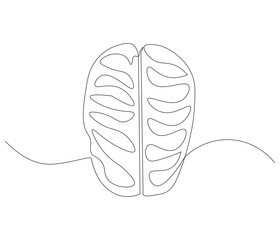 One continuous line drawing of human brain. Single line of human brain vector illustration