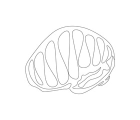 One continuous line drawing of human brain. Single line of human brain vector illustration