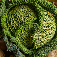 Fresh cabbage kachan close-up view from above