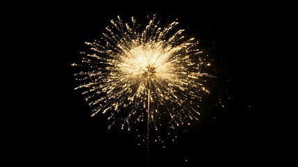 Golden Fireworks Display Against Night Sky