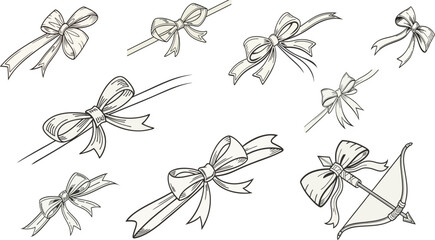 dragonfly on a white