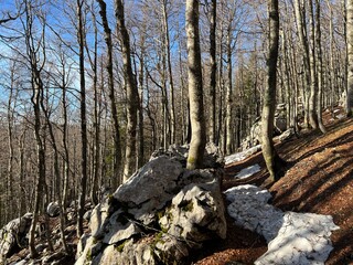 Premuzic hiking trail or Premuzic Trail - Northern Velebit National Park, Croatia or Premuzic-Wanderweg or Premuzic's Trail (Pješački planinarski put Premužićeva staza - NP Sjeverni Velebit, Hrvatska)