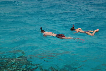 persons snorkeling in the sea