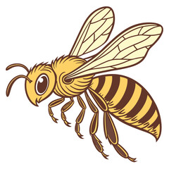 honey-bee-vector-illustration