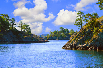 Naklejka premium Picturesque view of the Norwegian fjords in summer.